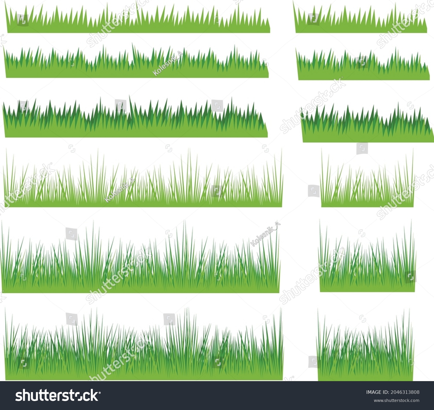 Illustration Color Vector Grass Stock Vector (Royalty Free) 2046313808 ...