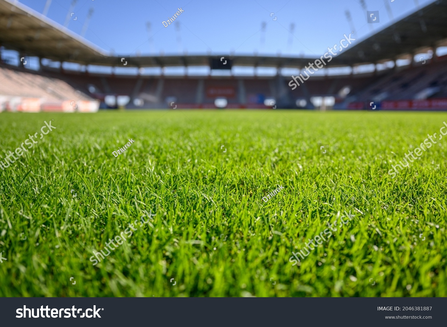 Grass Football Stadium During Sunny Summer Stock Photo 2046381887 ...