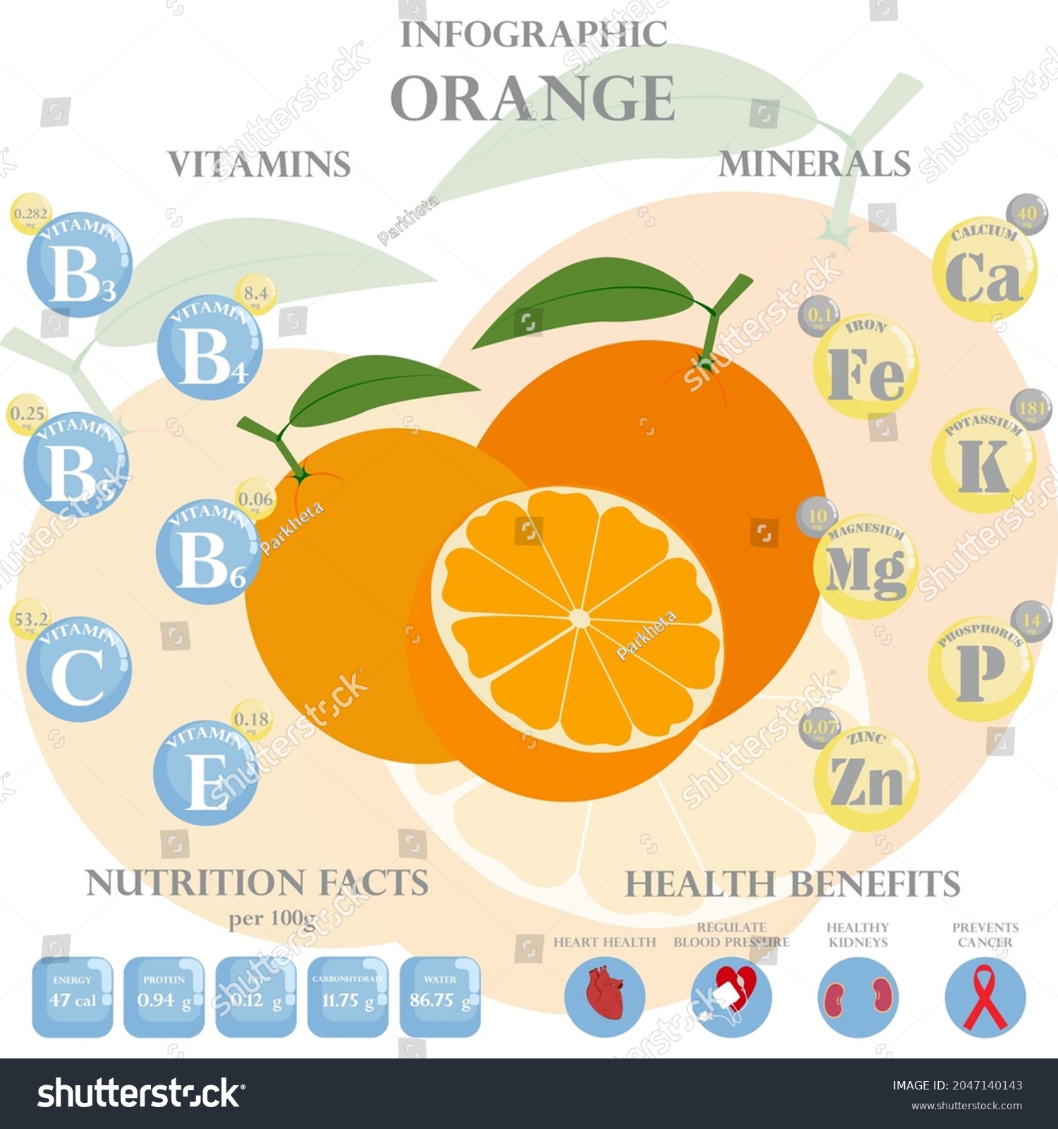 Orange Nutrition Facts Health Benefits Infographic Stock Vector ...