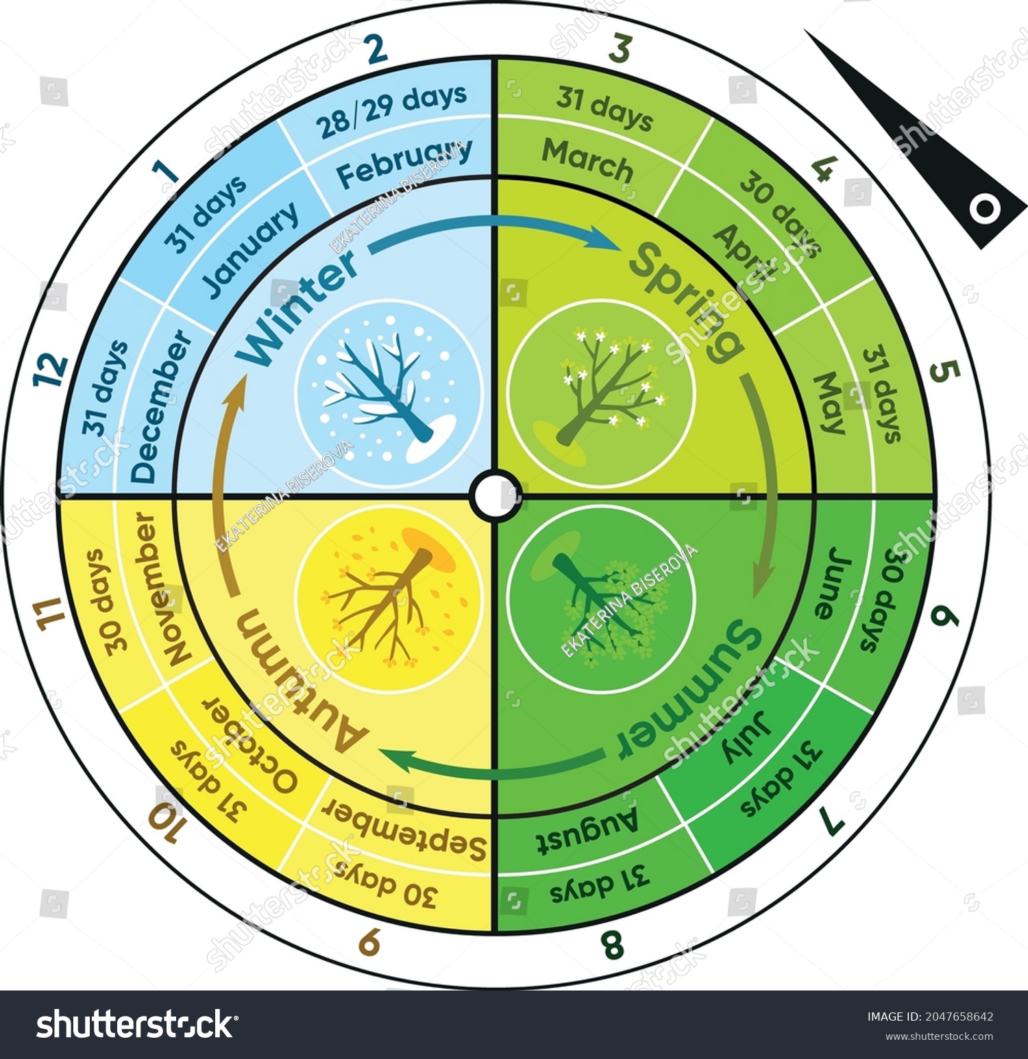 Diagram Seasons English Stock Vector (Royalty Free) 2047658642 ...