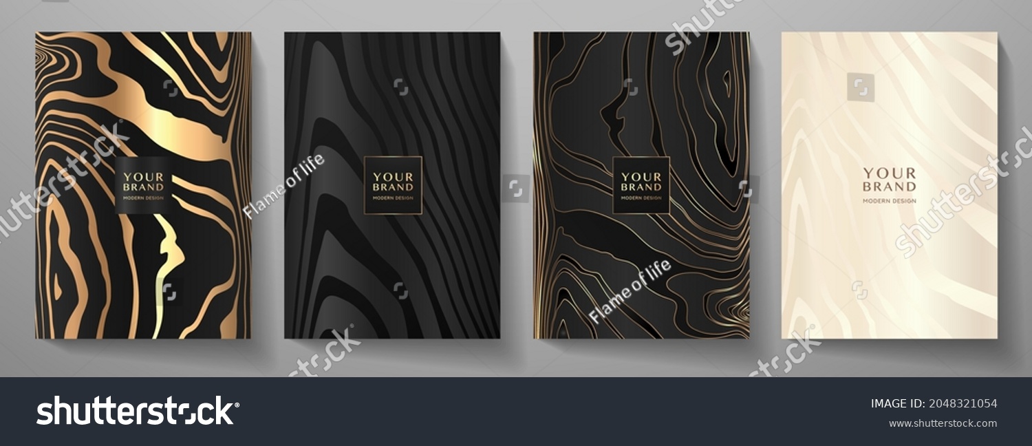 Modern Elegant Cover Design Set Luxury Stock Vector (Royalty Free ...