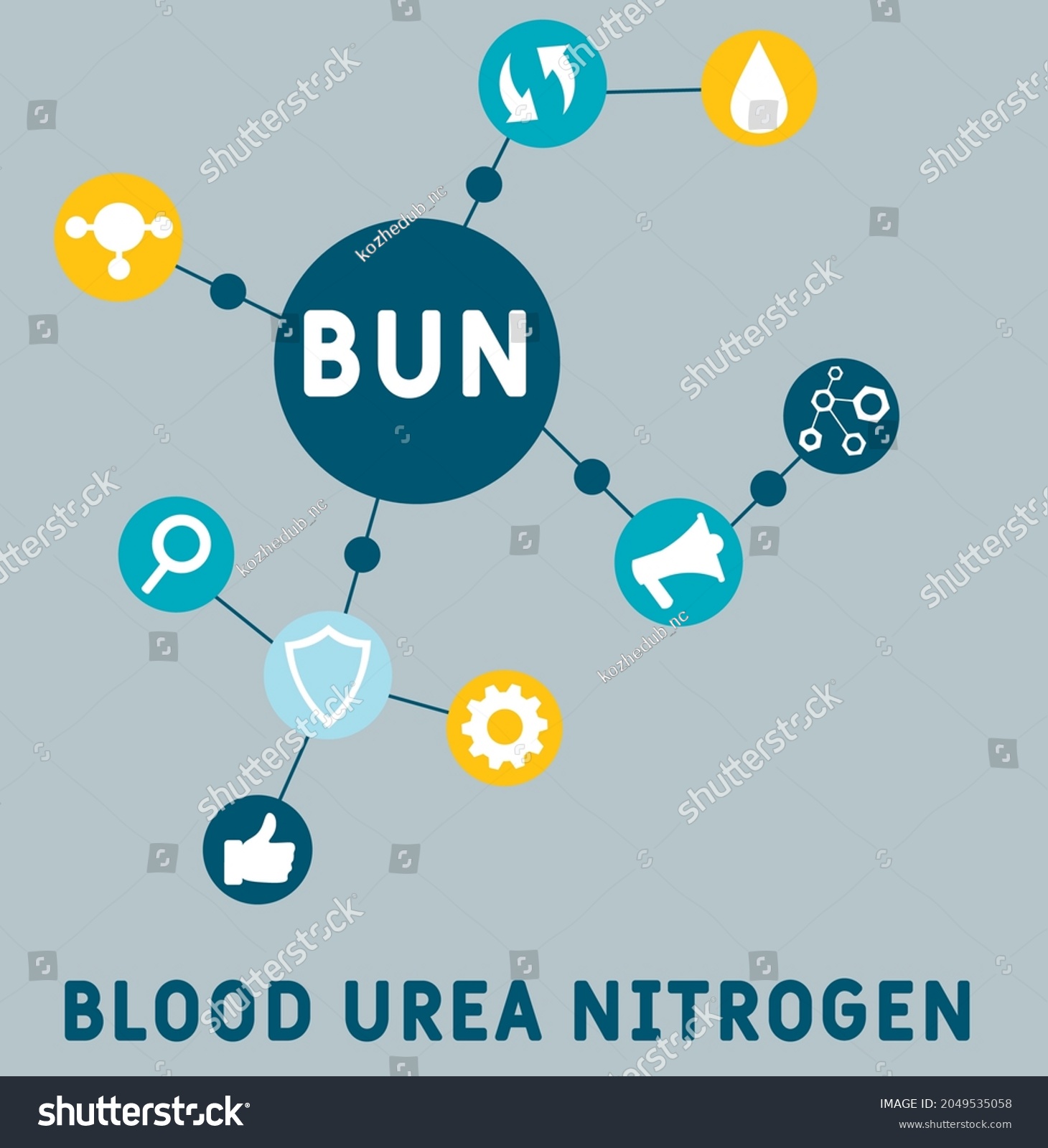 Bun Blood Urea Nitrogen Acronym Medical Stock Vector (Royalty Free ...