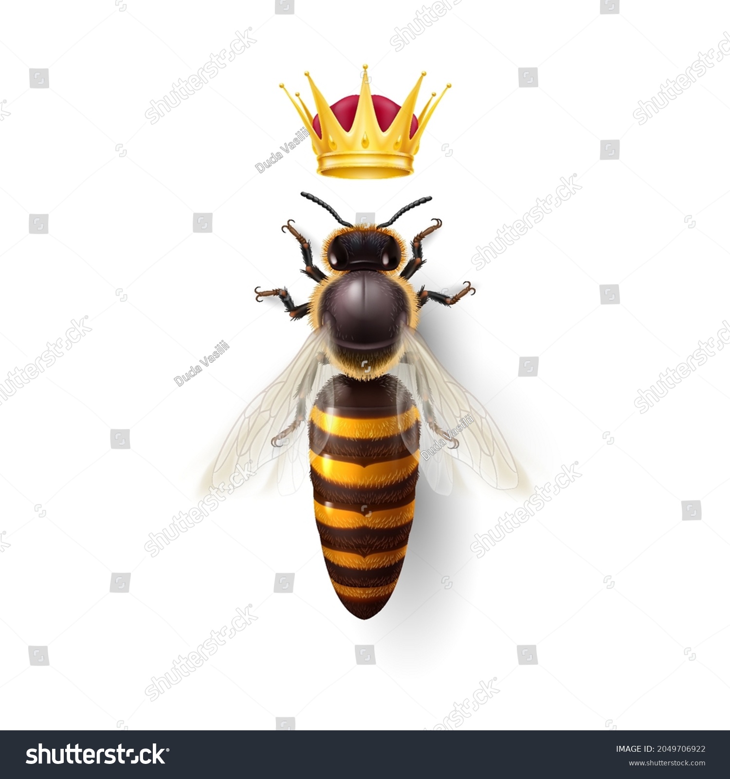 Realistic Bee Queen Mother Golden Crown Stock Vector (Royalty Free ...