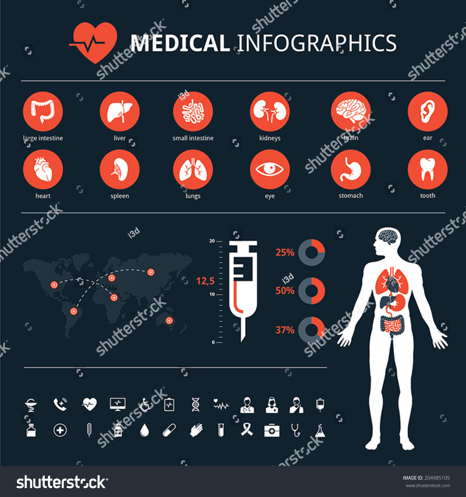 Stock Vector Medical Human Organs Icon Set With Human Body And World Map Info Graphic 204985105 