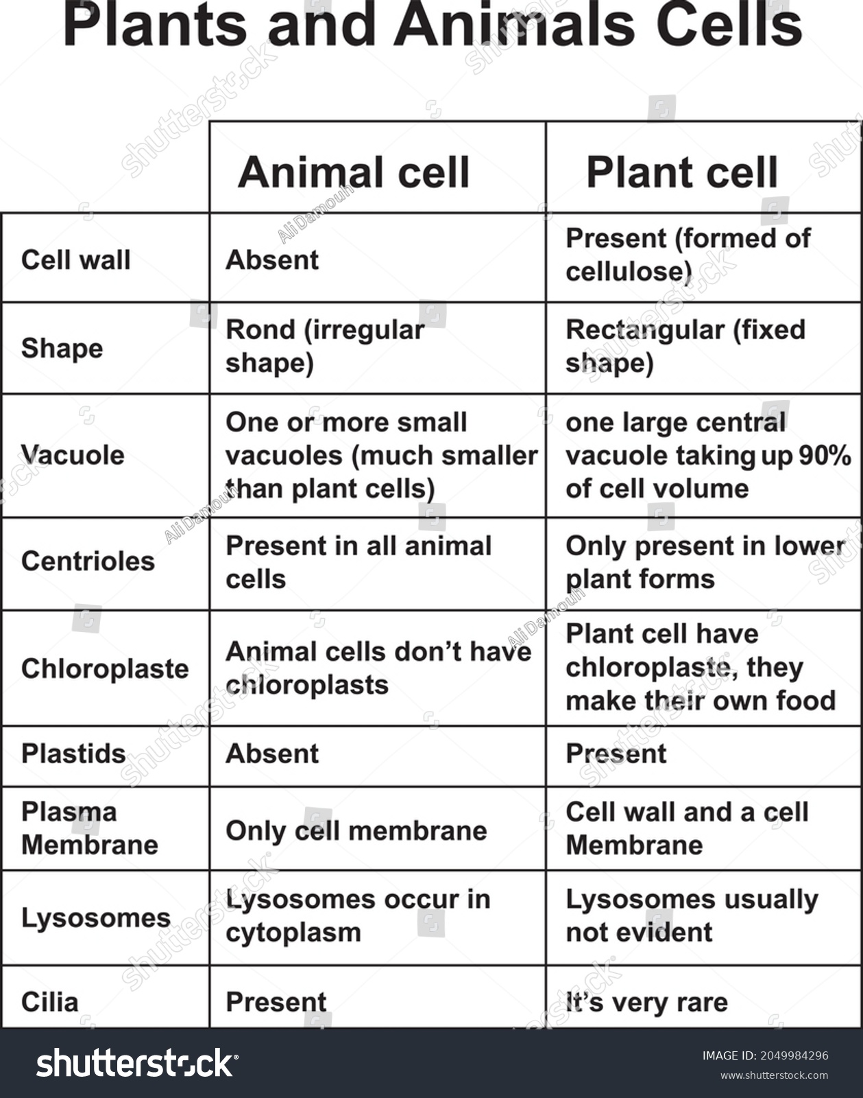 differences-between-animal-plant-cells-cpmparative