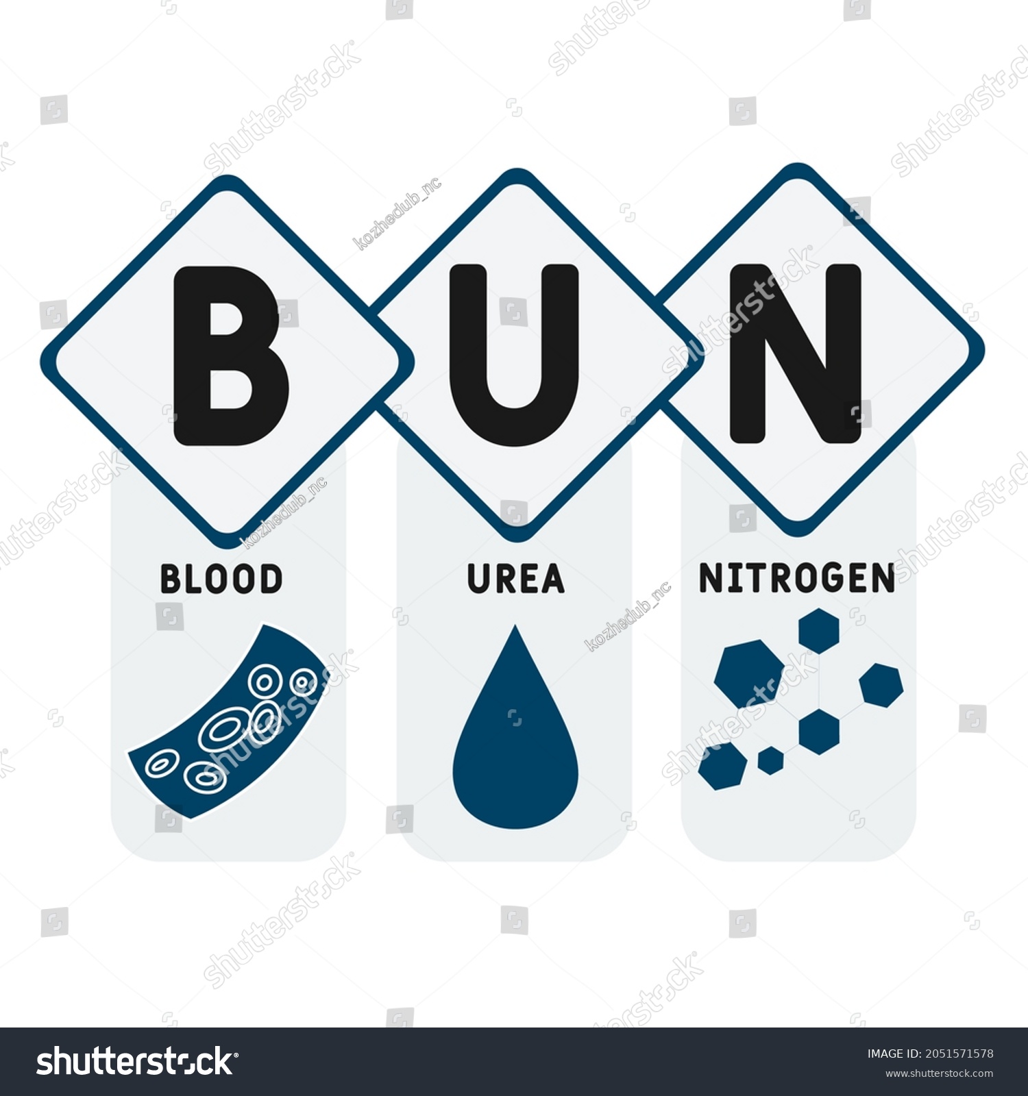 Bun Blood Urea Nitrogen Acronym Medical Stock Vector (Royalty Free ...