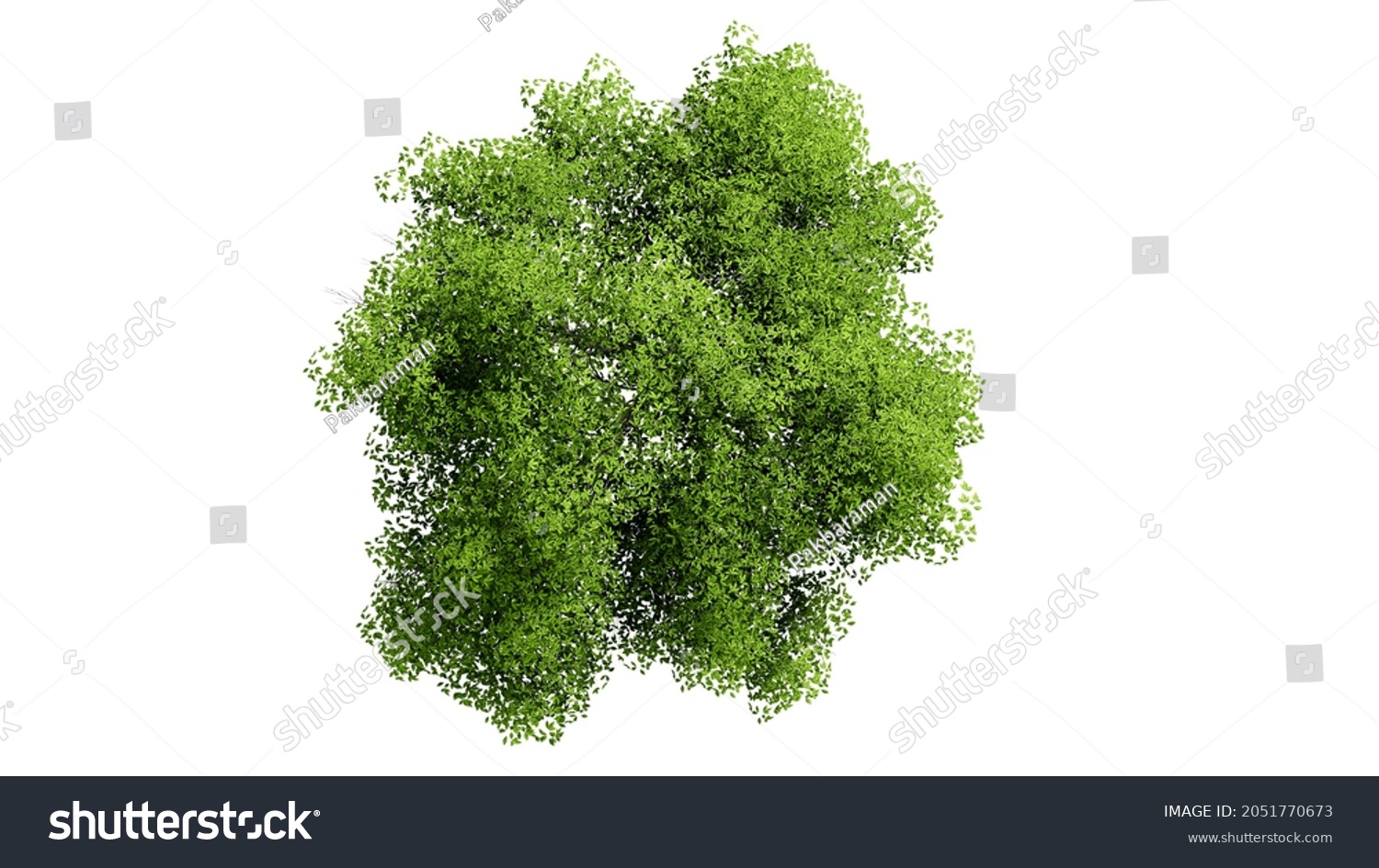 Top View 3d Tree Isolated On Stock Illustration 2051770673 | Shutterstock