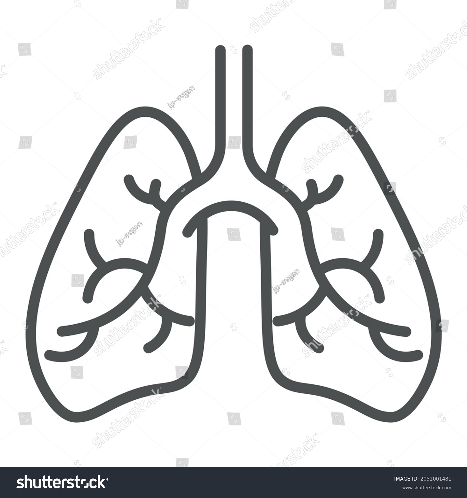 Human Lungs Outline Icon On White Stock Vector (Royalty Free ...