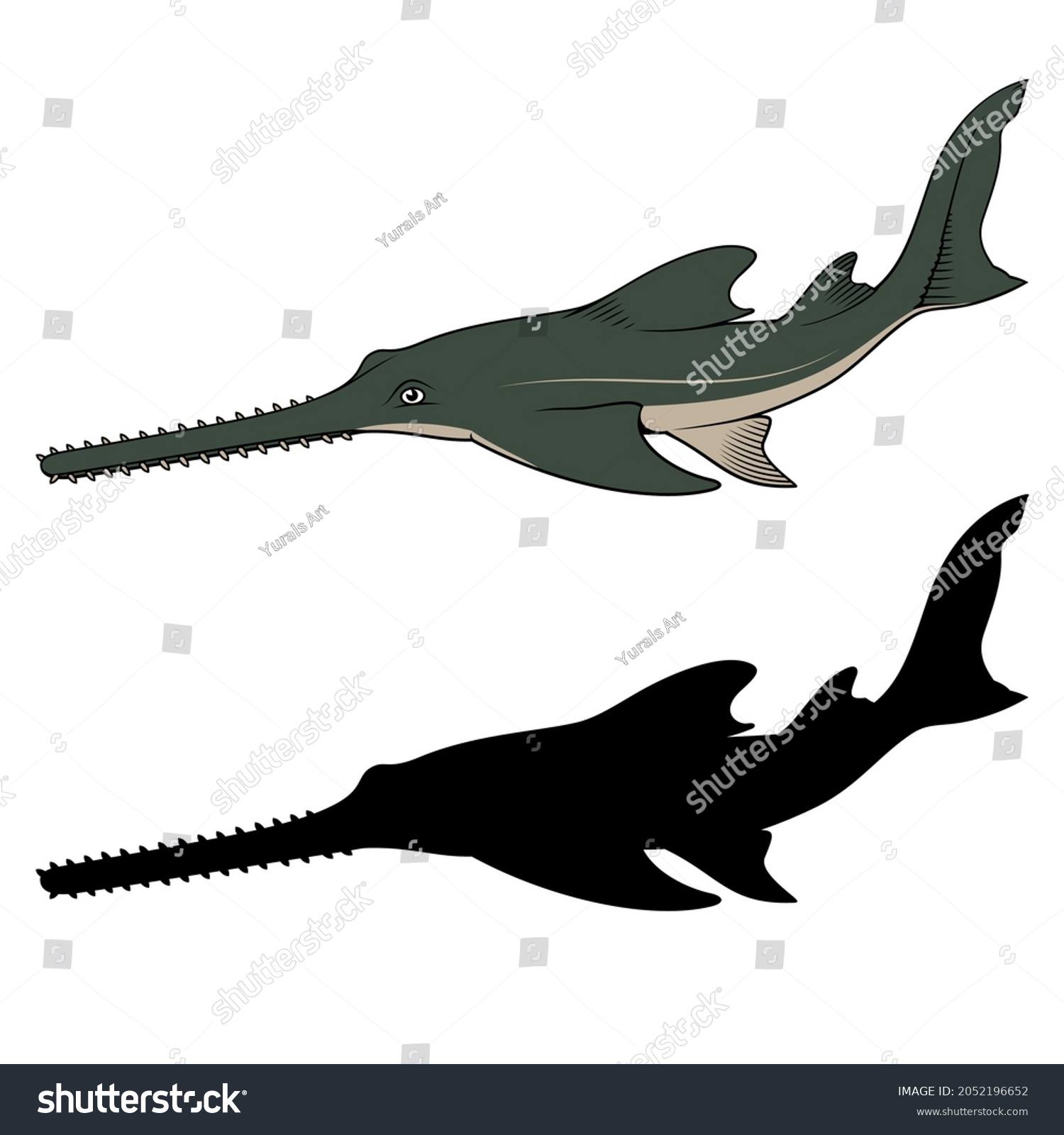 Sawfish Vector Clipart Color Black Versions Stock Vector (royalty Free 