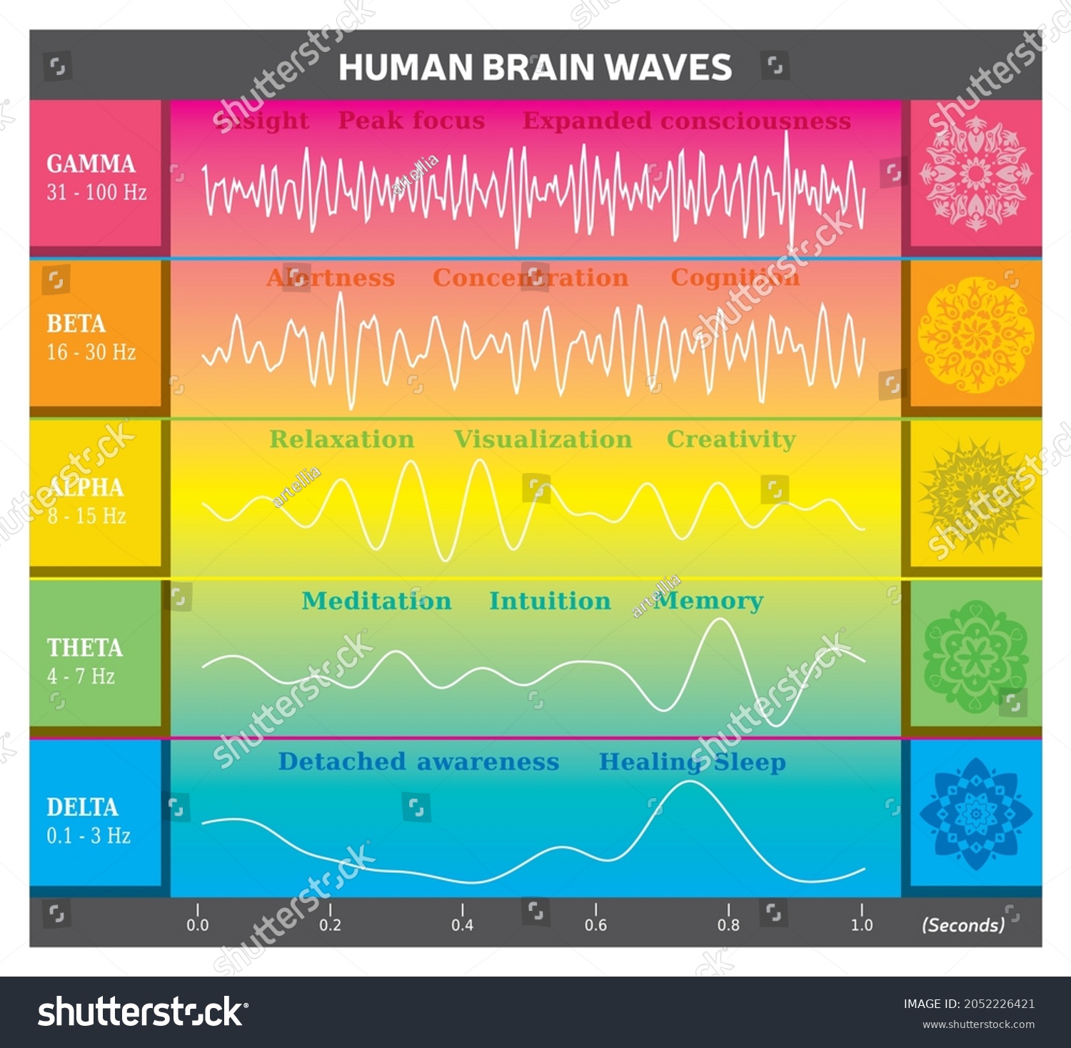 Human Brain Waves Diagram Rainbow Colors Stock Vector (Royalty Free