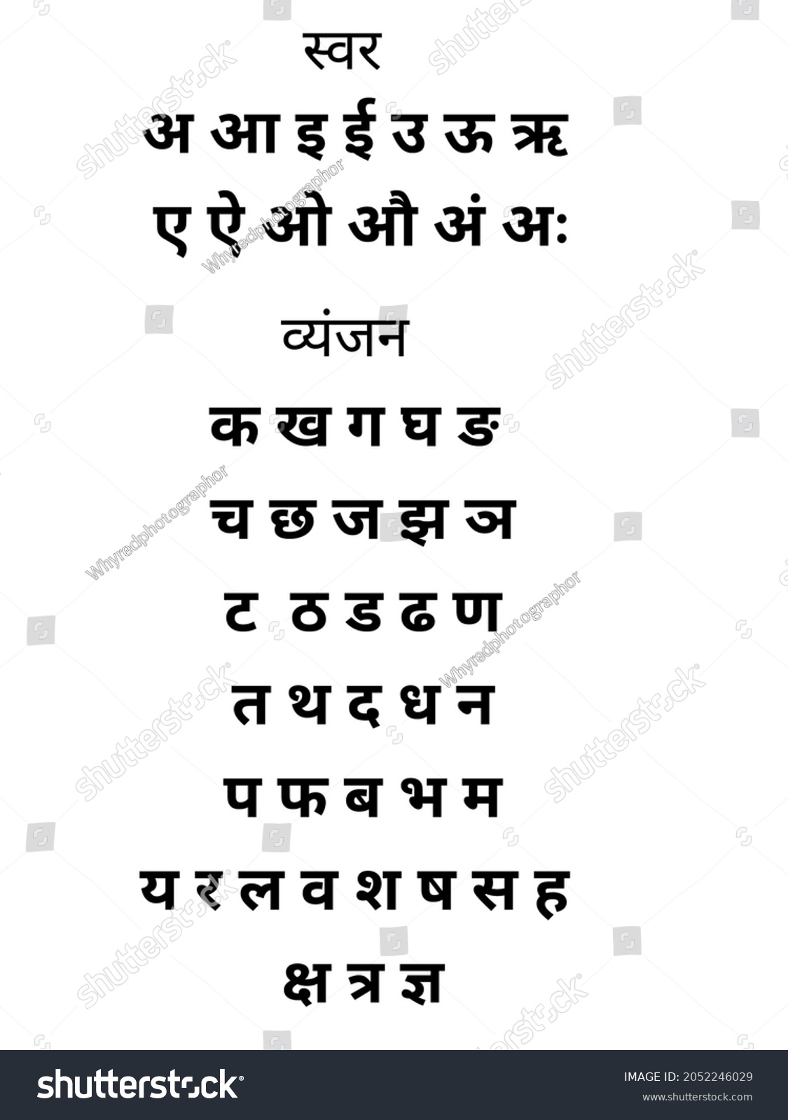 hindi alphabets chart 49 letters kids stock illustration 2052246029 shutterstock