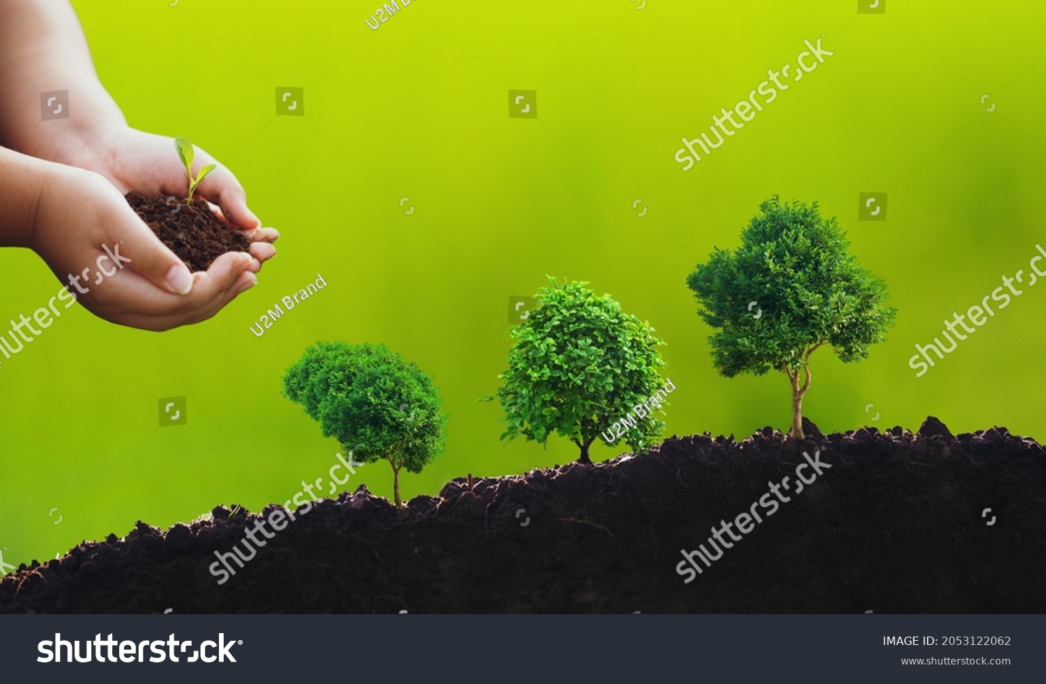 190 Stewardship Concept Images, Stock Photos & Vectors | Shutterstock