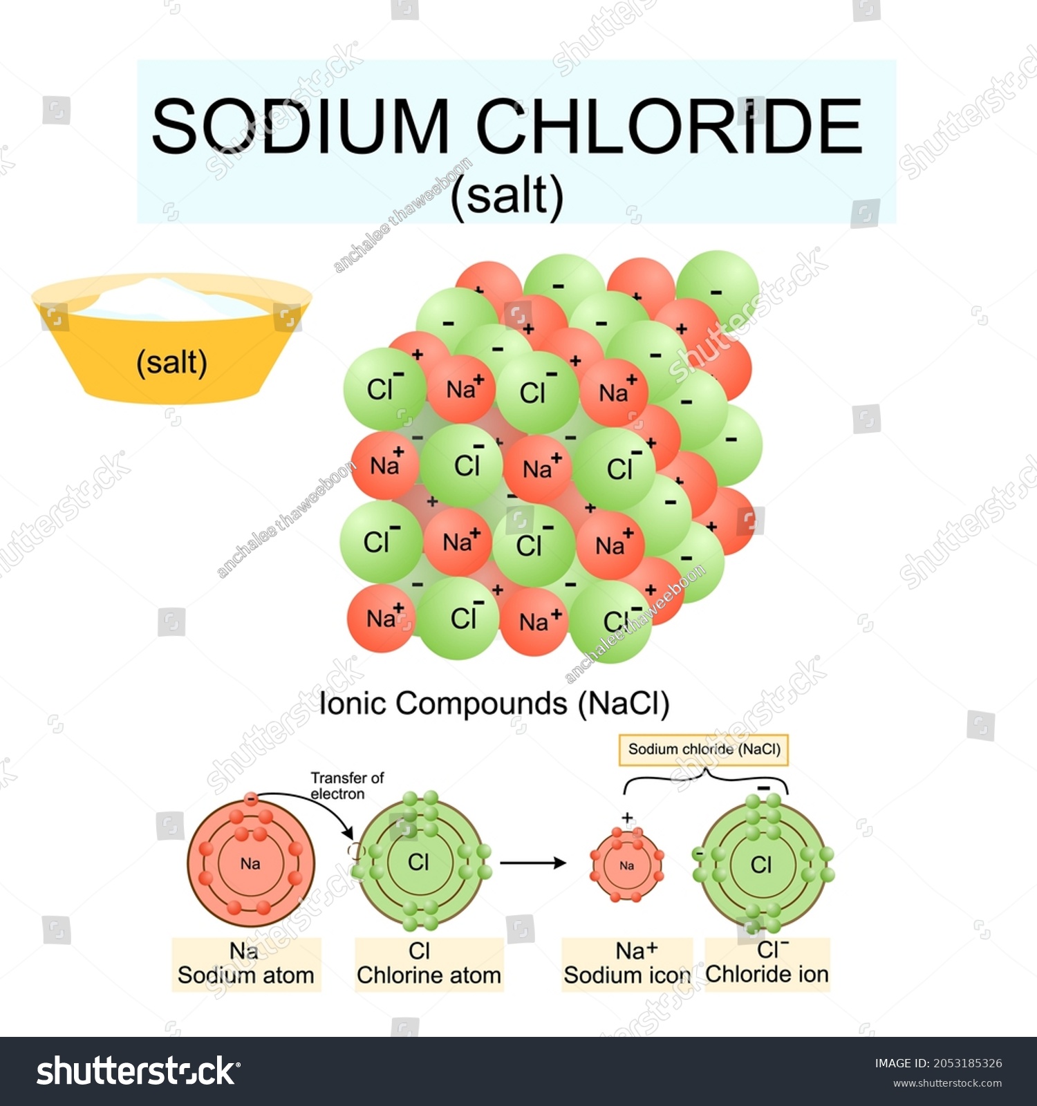 Structure Sodium Chloride Saltnacl Modelvector Illustrationchemistry ...