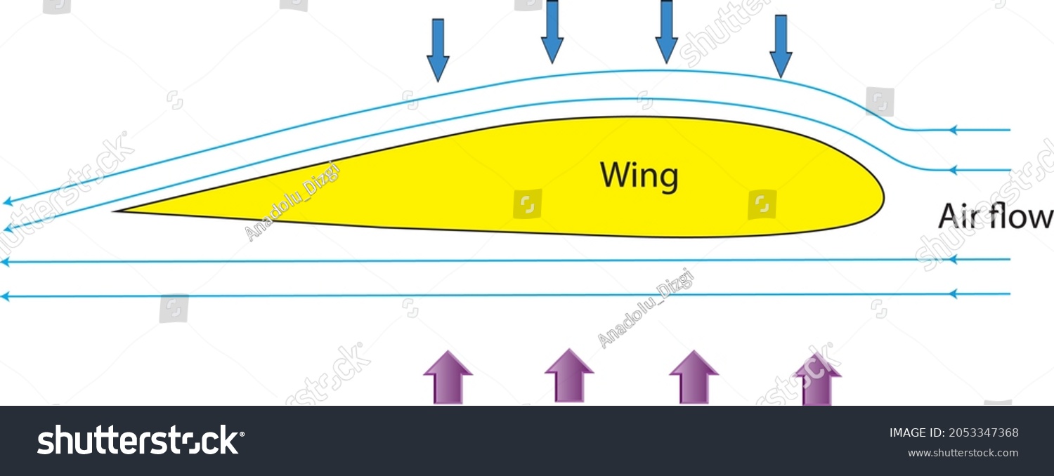 Drawing Showing How Airplane Wing Designed Stock Vector (Royalty Free ...