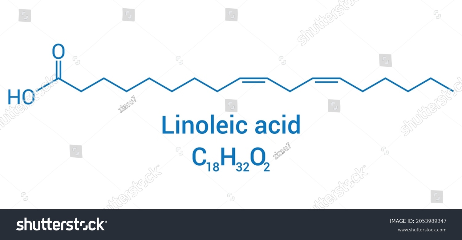 Chemical Structure Linoleic Acid C18h32o2 Stock Vector (Royalty Free ...