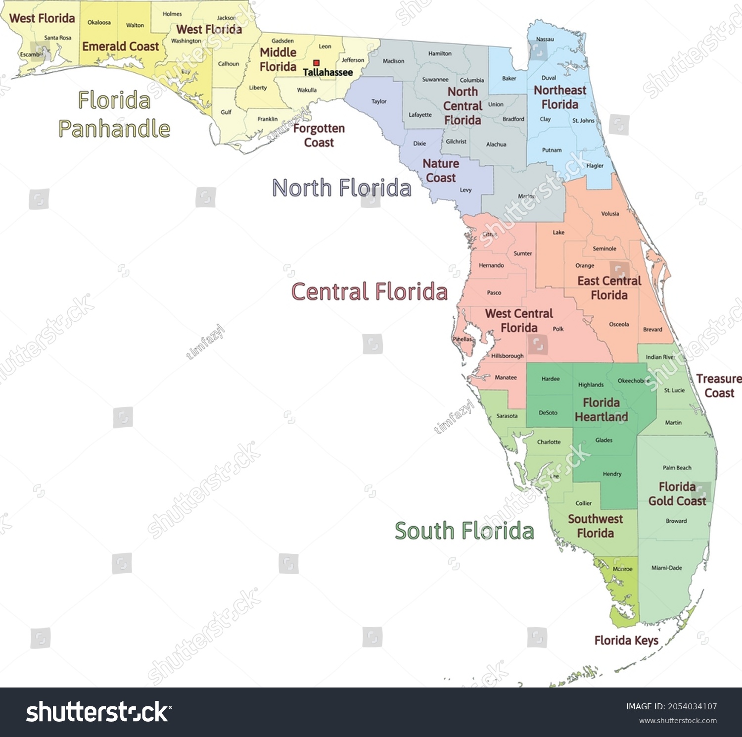 Florida Regions Map Counties Colored Vectored Stock Vector (Royalty ...