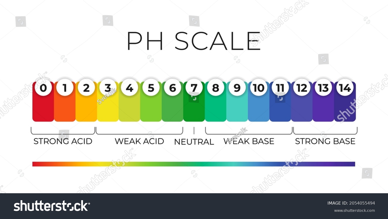 Ph Value Scale Chart Acidalkaline Solution Stock Vector (Royalty Free ...