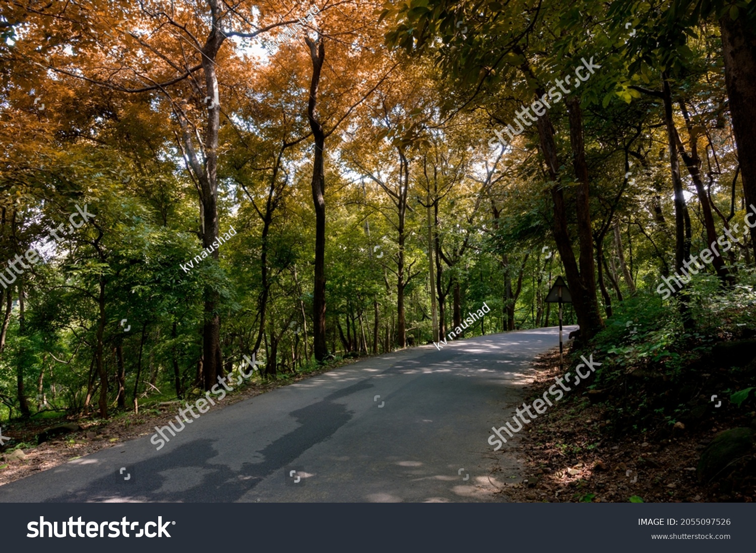 Malapuzha Kava Road Beautiful Kerala Road Stock Photo 2055097526 ...