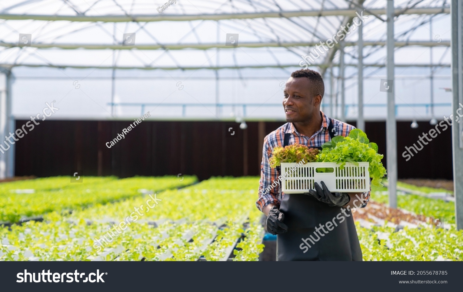 Portrait Smiling African Man Farmer Holding Stock Photo 2055678785 ...