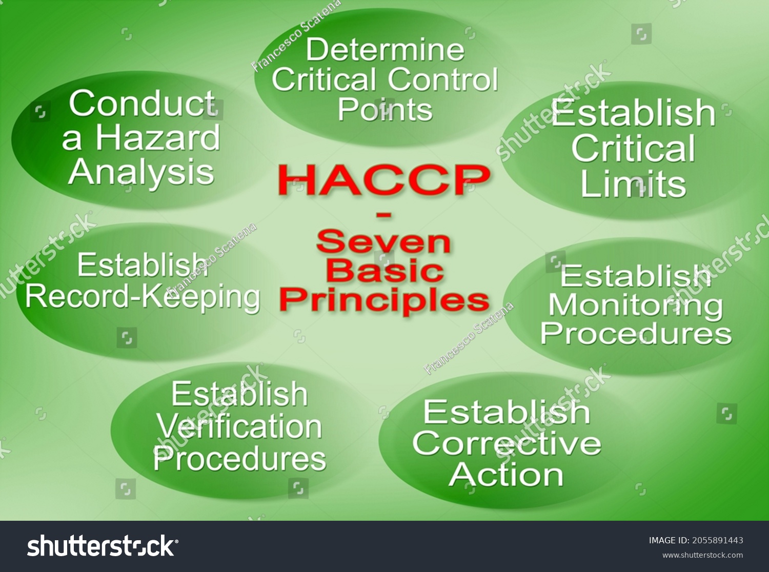 Ilustrasi Stok Layout About Seven Basic Principles Haccp 2055891443 ...