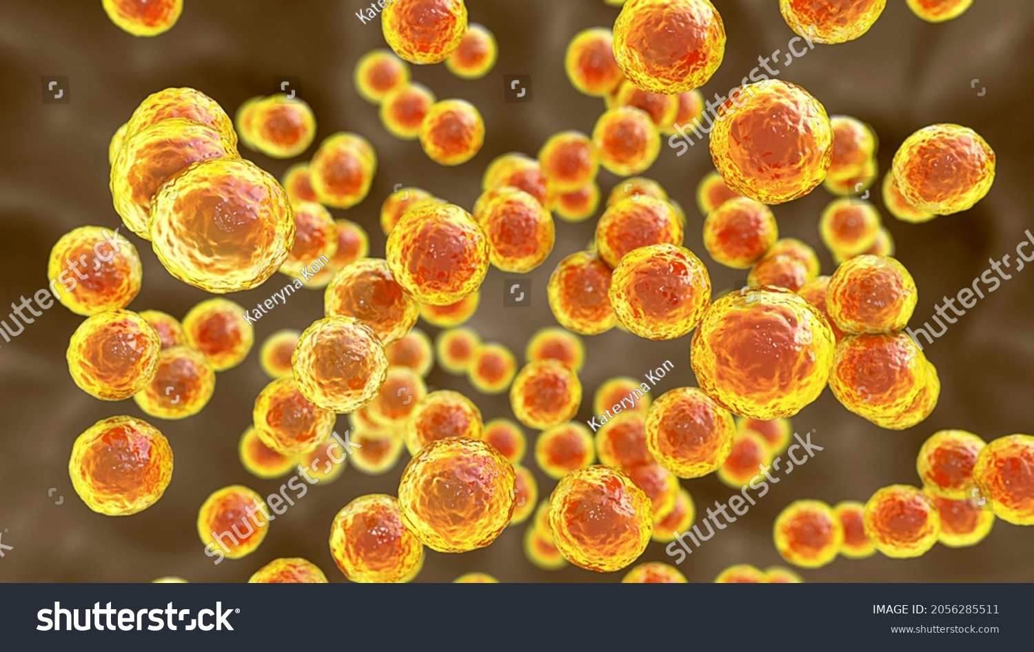 Bacteria Pediococcus 3d Illustration Grampositive Cocci Stock ...