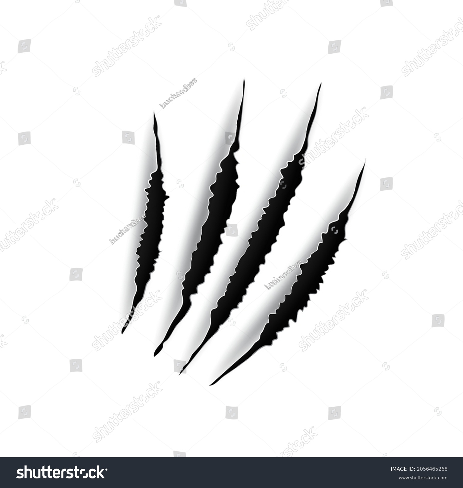 Animal Claw Mark Scratches Predator Bird Stock Vector (Royalty Free ...