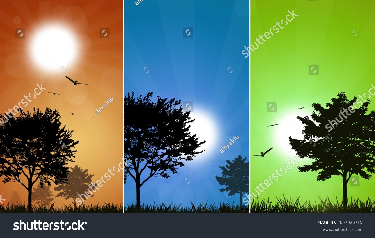 bright backgrounds nature