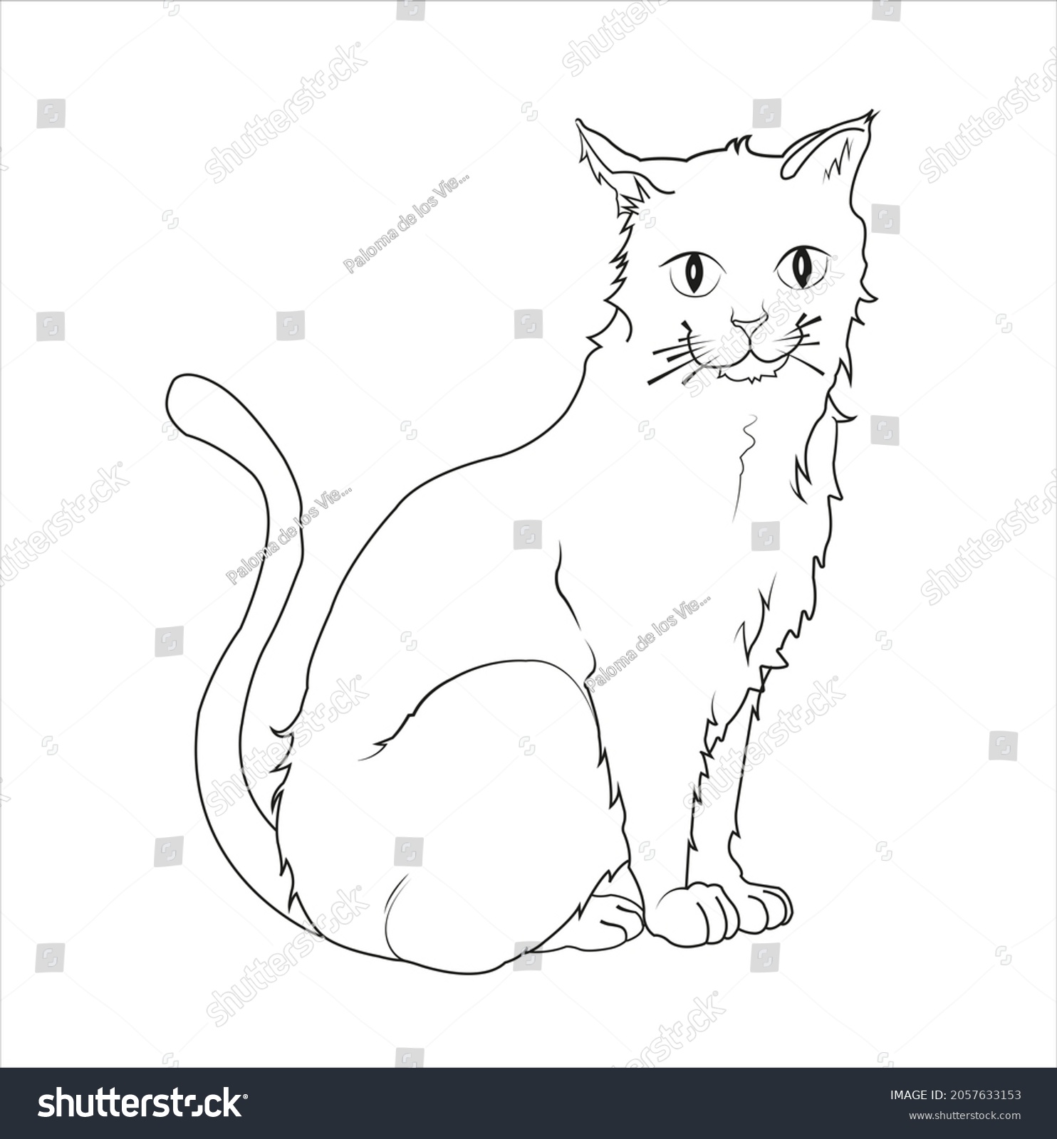 Cat Drawing Sitting Line Illustration Stock Illustration 2057633153 ...