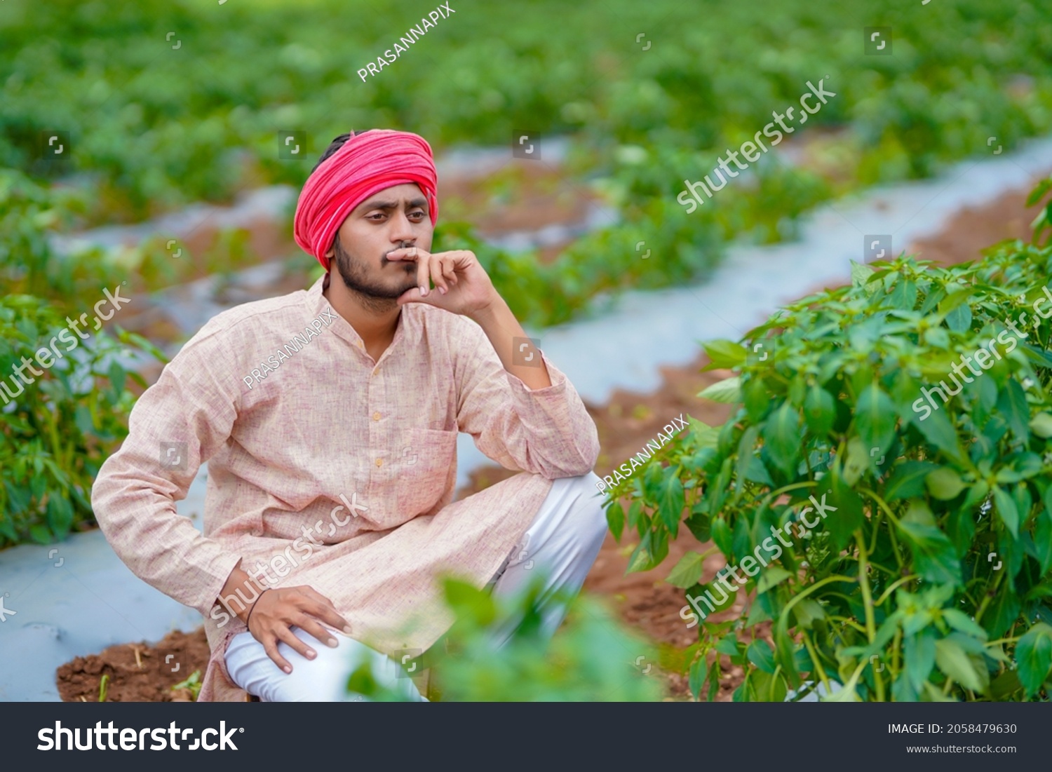 Young Indian Farmer Depression Stock Photo 2058479630 | Shutterstock