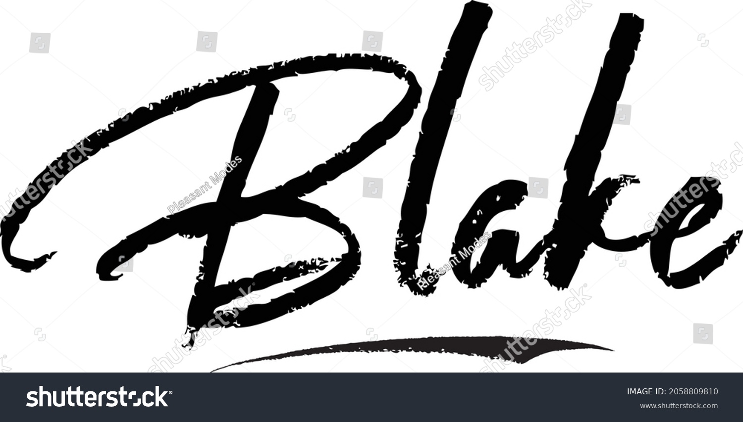 Blake Girl Name Stylish Brush Lettering Stock Vector Royalty Free 2058809810 Shutterstock 5396