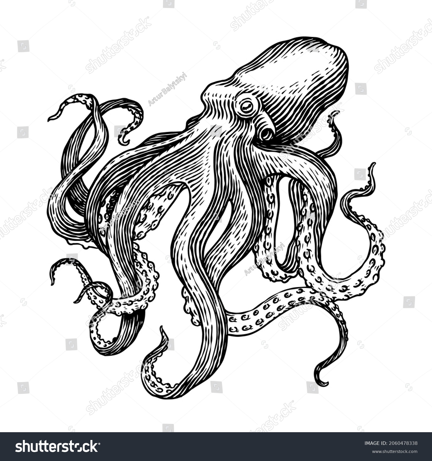 Sea Octopus Engraved Hand Drawn Old Stock Vector (Royalty Free ...