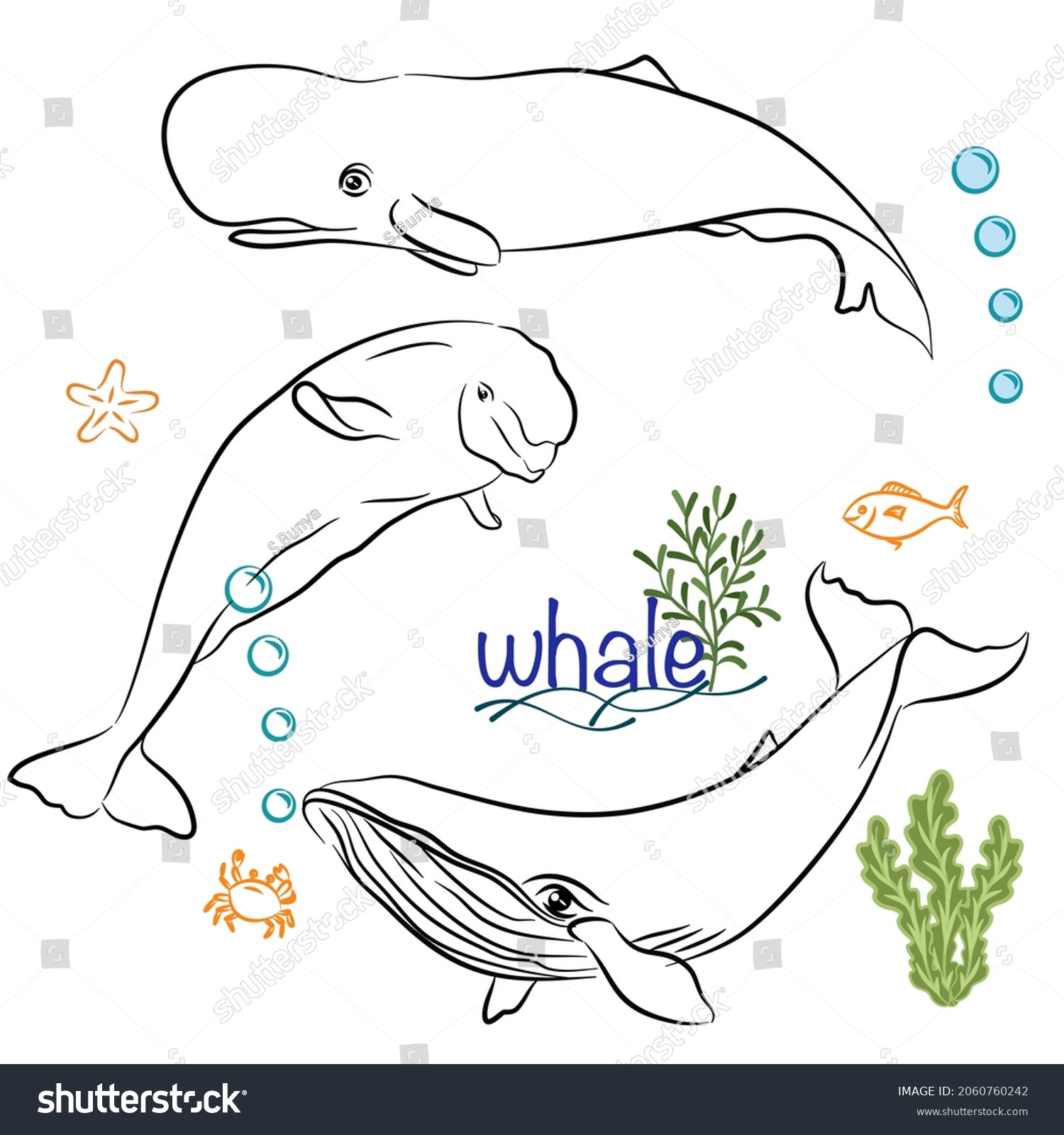 Set Character Design Cute Whale Doodle Stock Vector Royalty Free