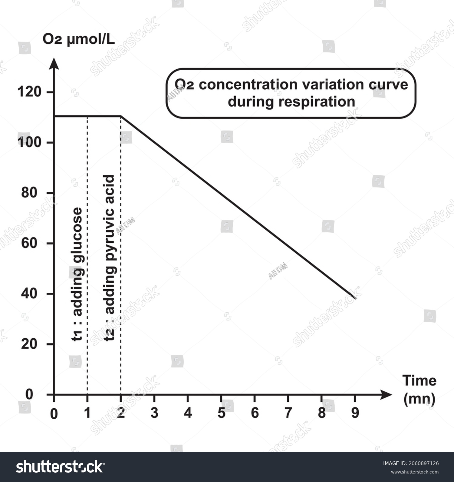 80-glucose-curve-images-stock-photos-vectors-shutterstock