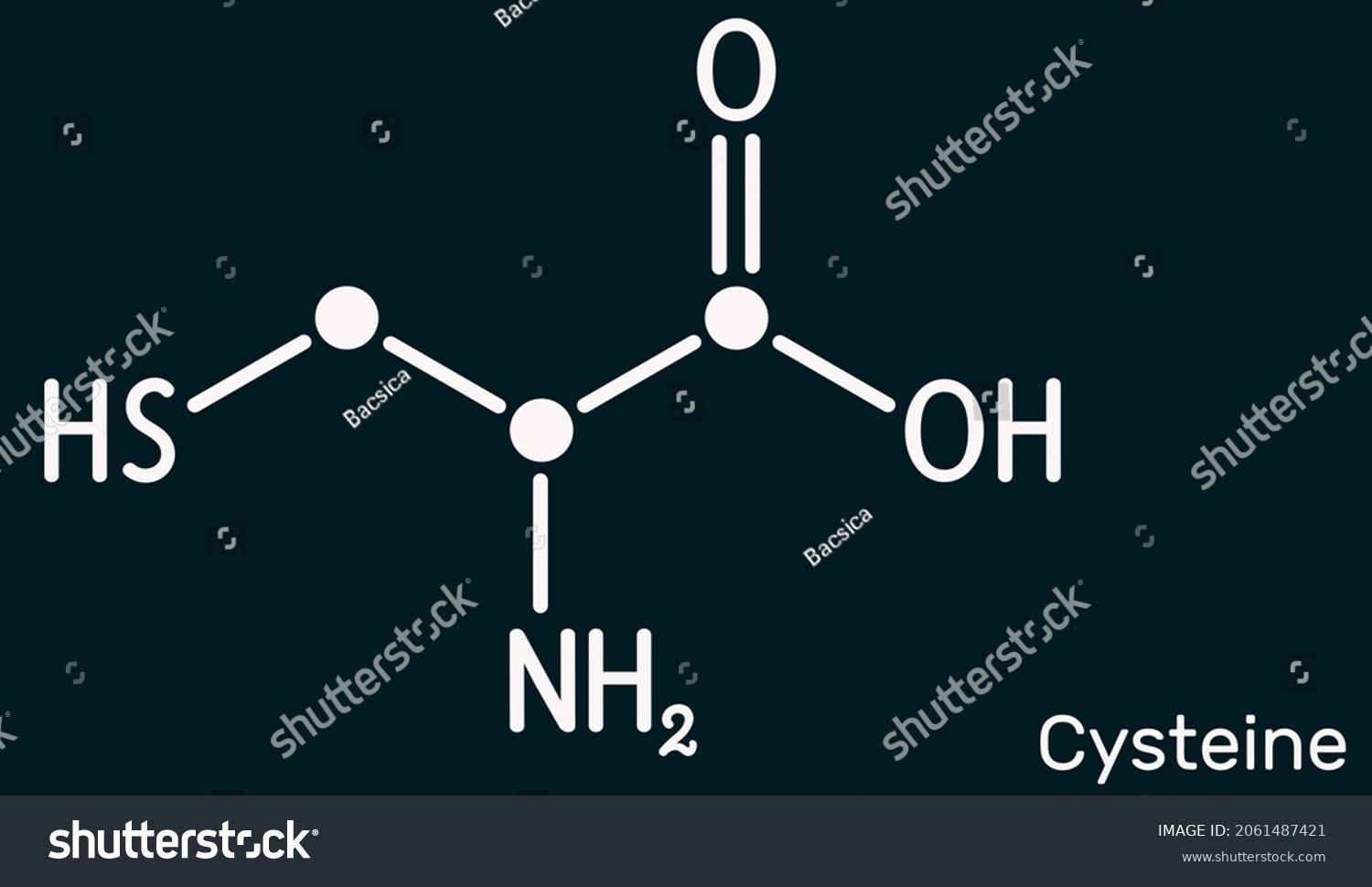 Cysteine Cys Proteinogenic Amino Acid Molecule Stock Illustration 2061487421 Shutterstock