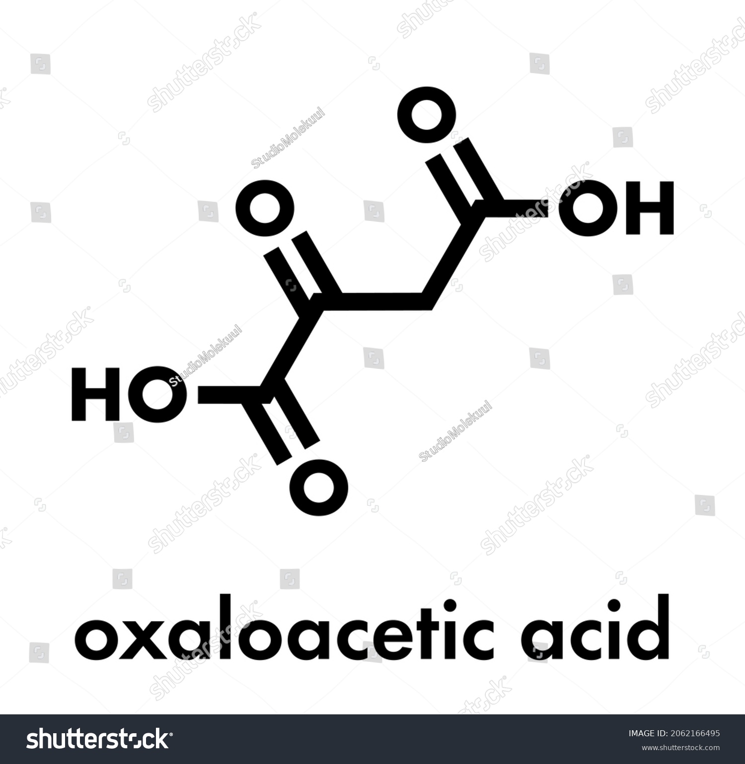 Oxaloacetic Acid Oxaloacetate Metabolic Intermediate Molecule Stock