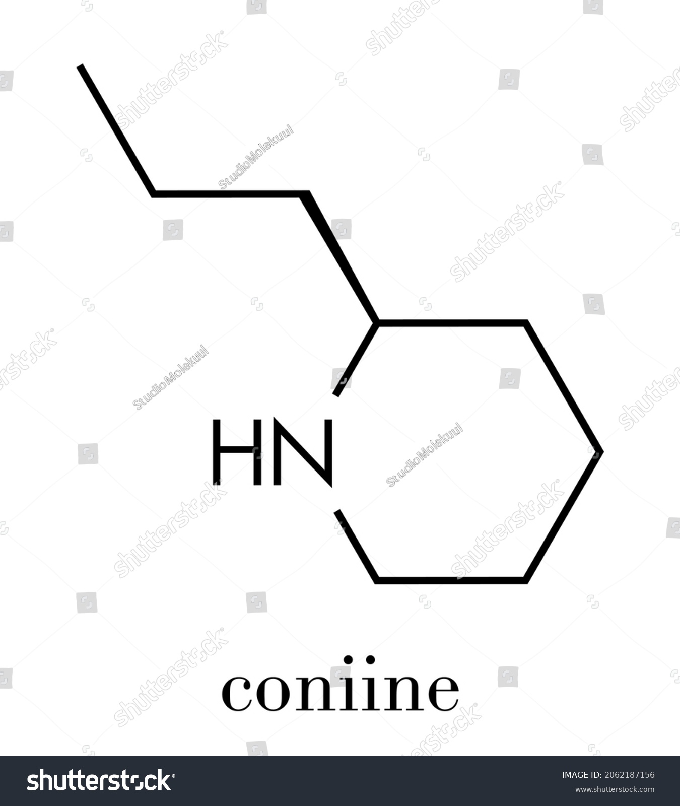 Coniine Herbal Toxin Molecule Present Poison Stock Vector (Royalty Free ...