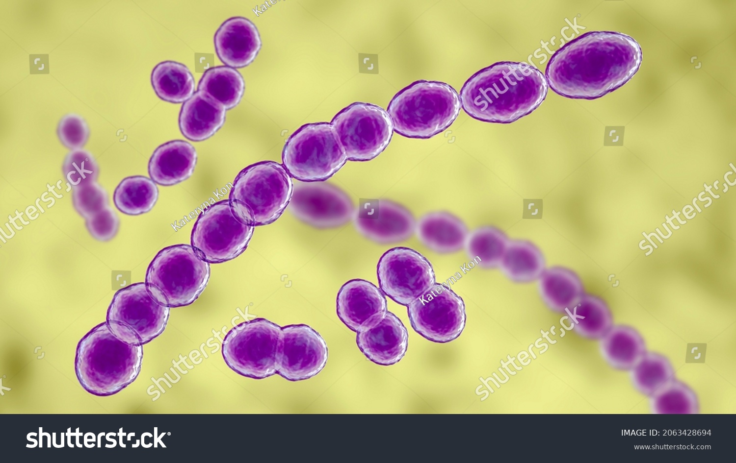 Leuconostoc Bacteria 3d Illustration Coccoid Lactic Stock Illustration 