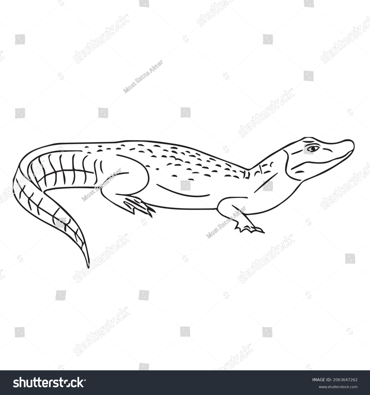 This Alligator Alligator Line Art Alligator Stock Vector (Royalty Free ...