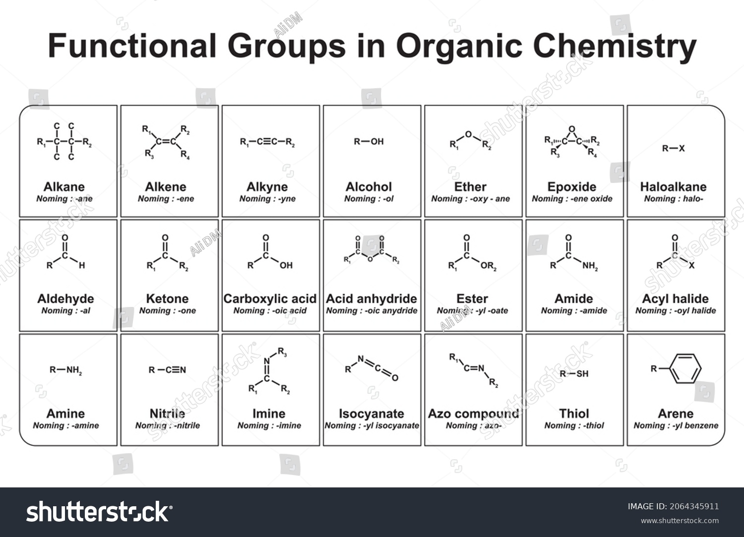 Functional Groups Organic Chemistry Vector Illustration Stock Vector ...