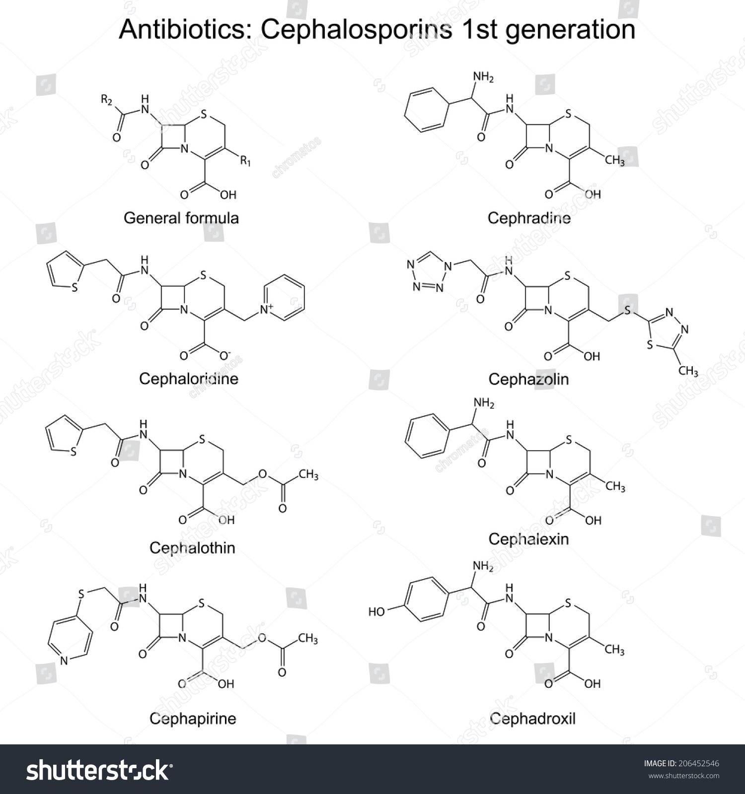 Structural Chemical Formulas Antibiotics Cephalosporins First Stock ...