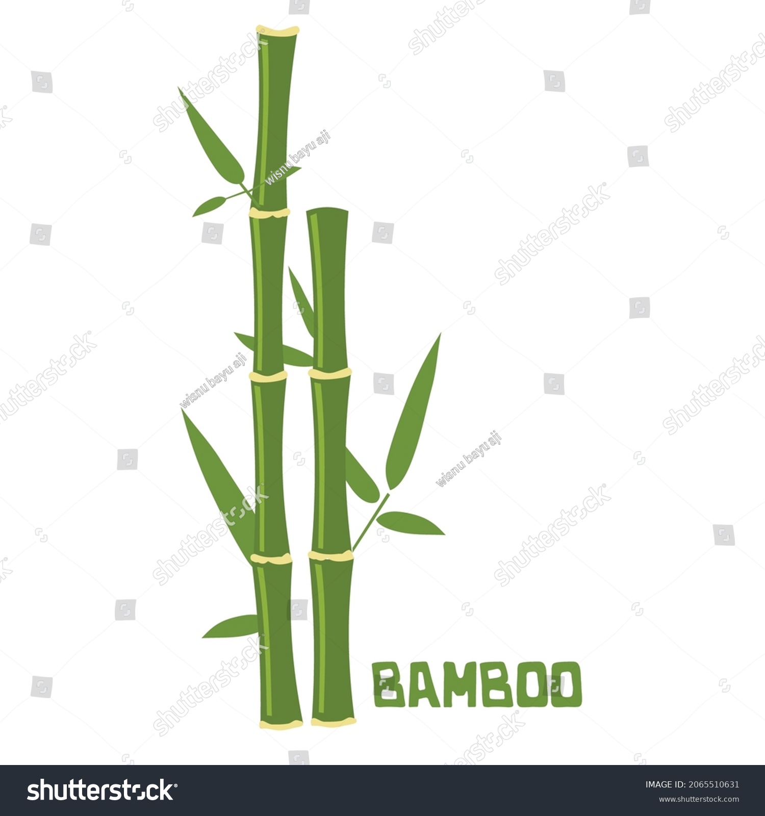 Bamboo Sticks Leaves Isolated On White Stock Vector (Royalty Free ...