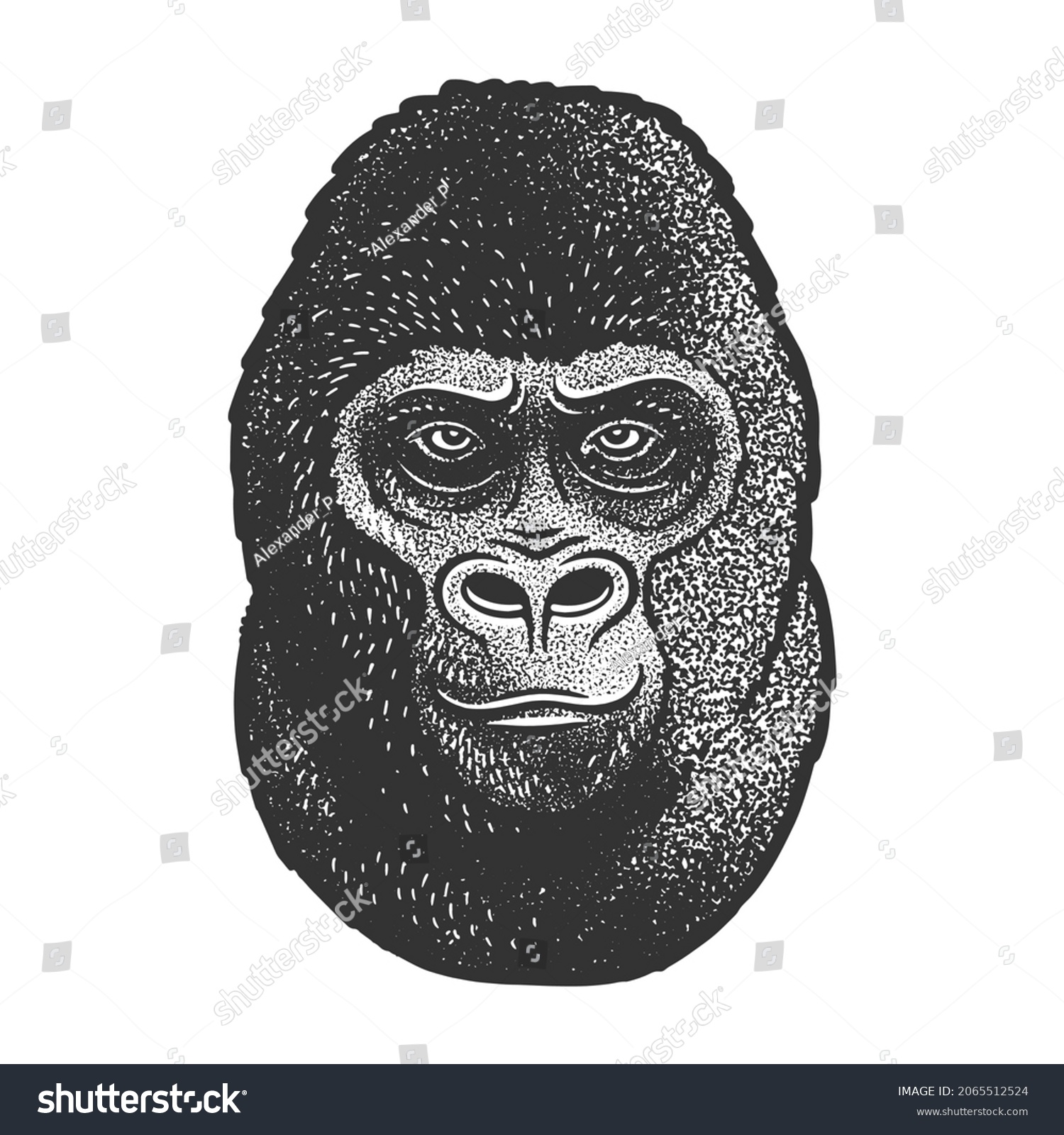 Gorilla Head Sketch Engraving Vector Illustration Stock Vector (Royalty ...