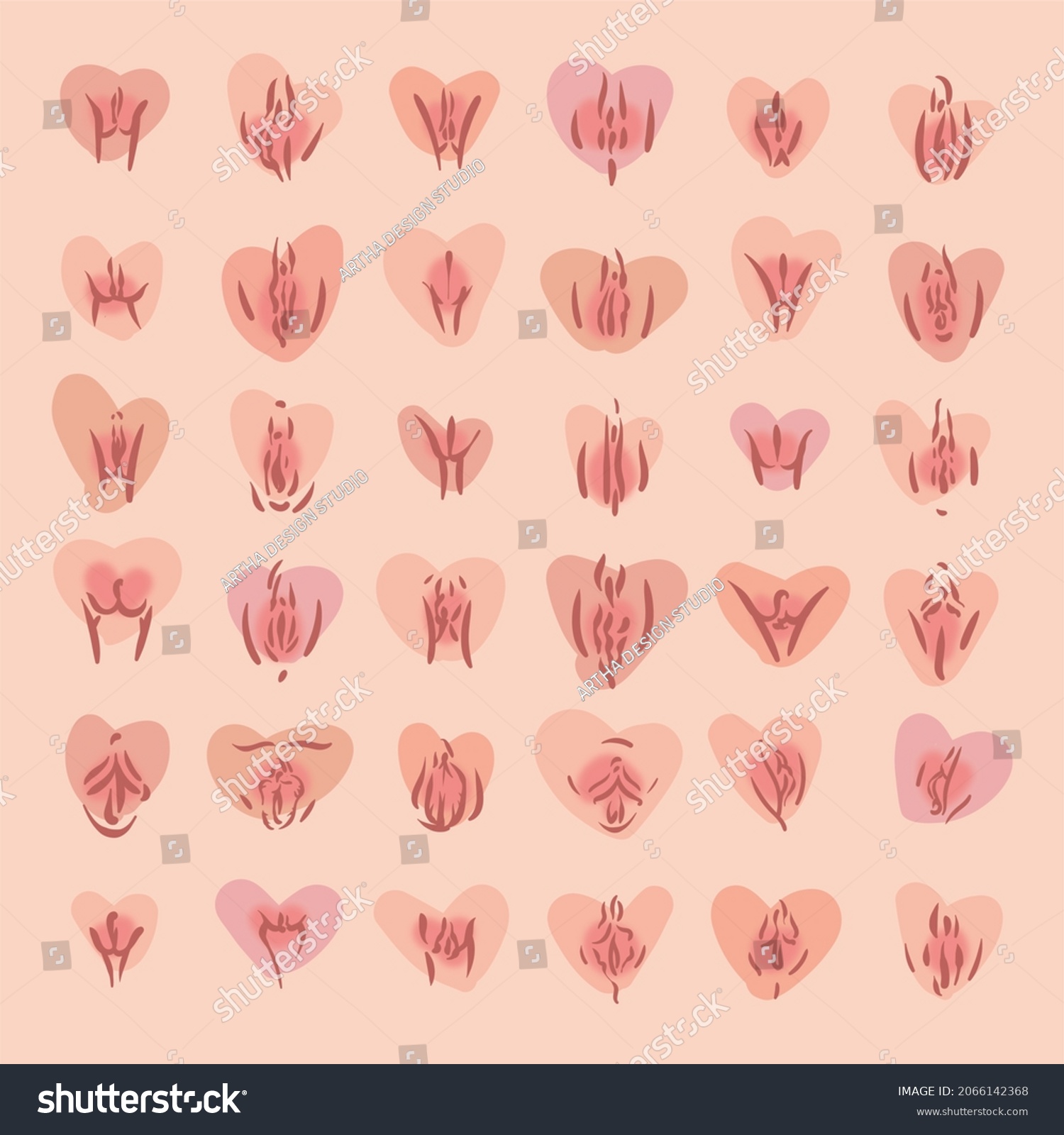 different vagina shapes