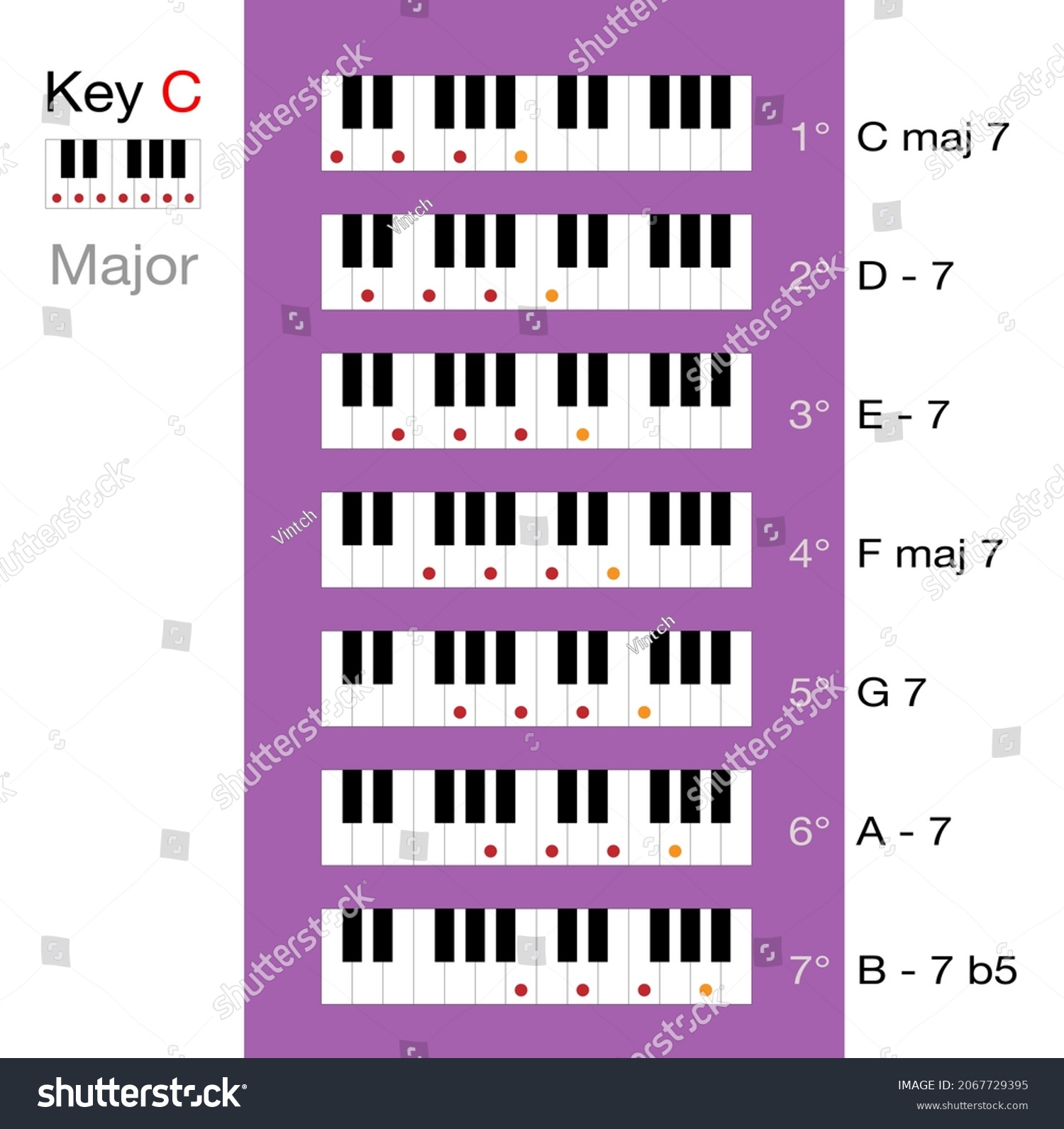 Basic Chords C Major Scale Vector Stock Vector (Royalty Free