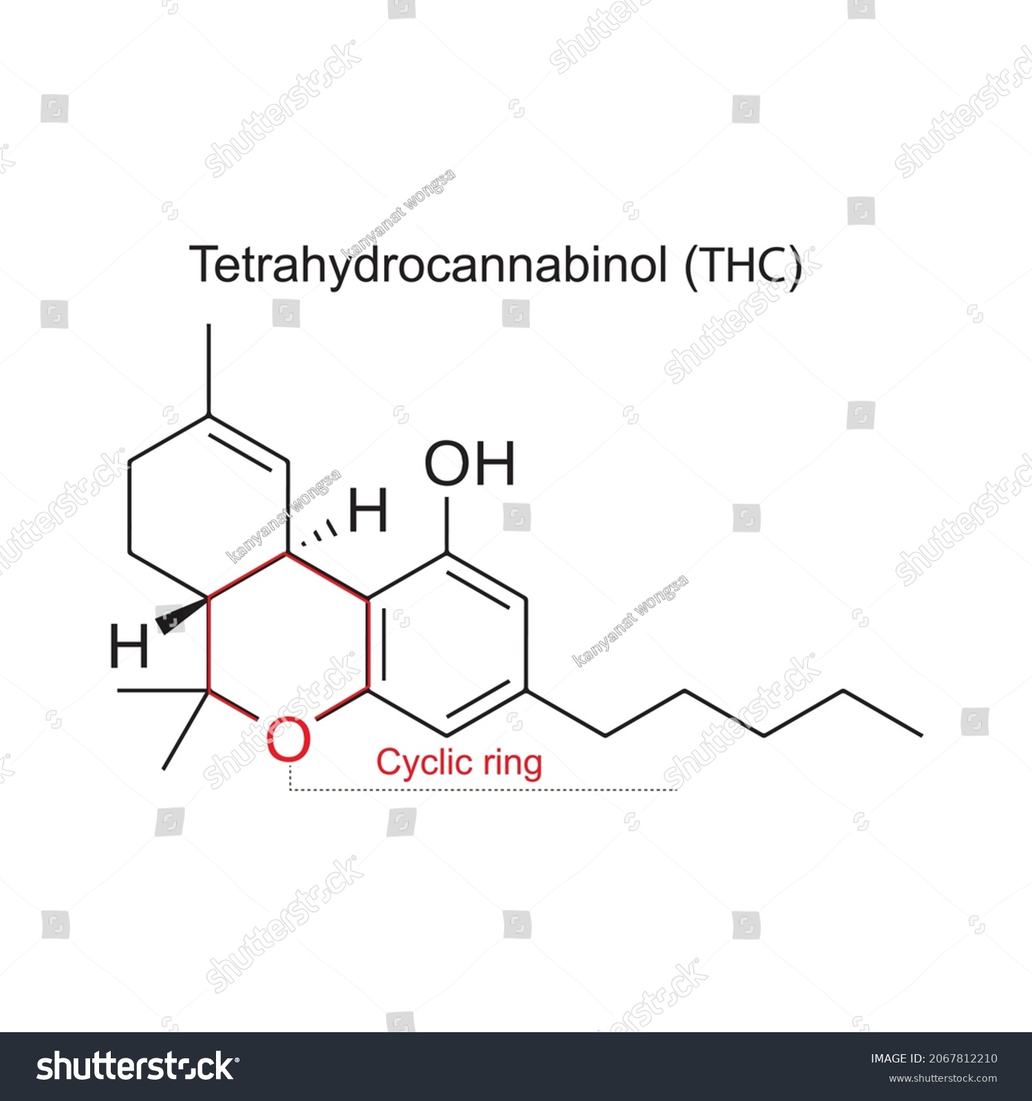 Structure Tetrahydrocannabinol Thc Isolated On White: เวกเตอร์สต็อก ...