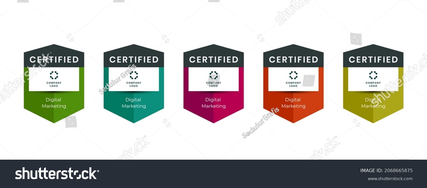 Professional Certificates Awarded Logo Badge Vector Stock Vector ...