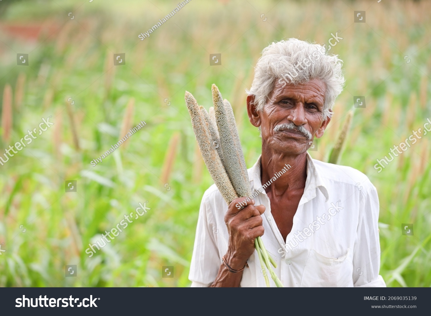 Indian Old Farmer Holding Pearls Millets Stock Photo 2069035139 ...