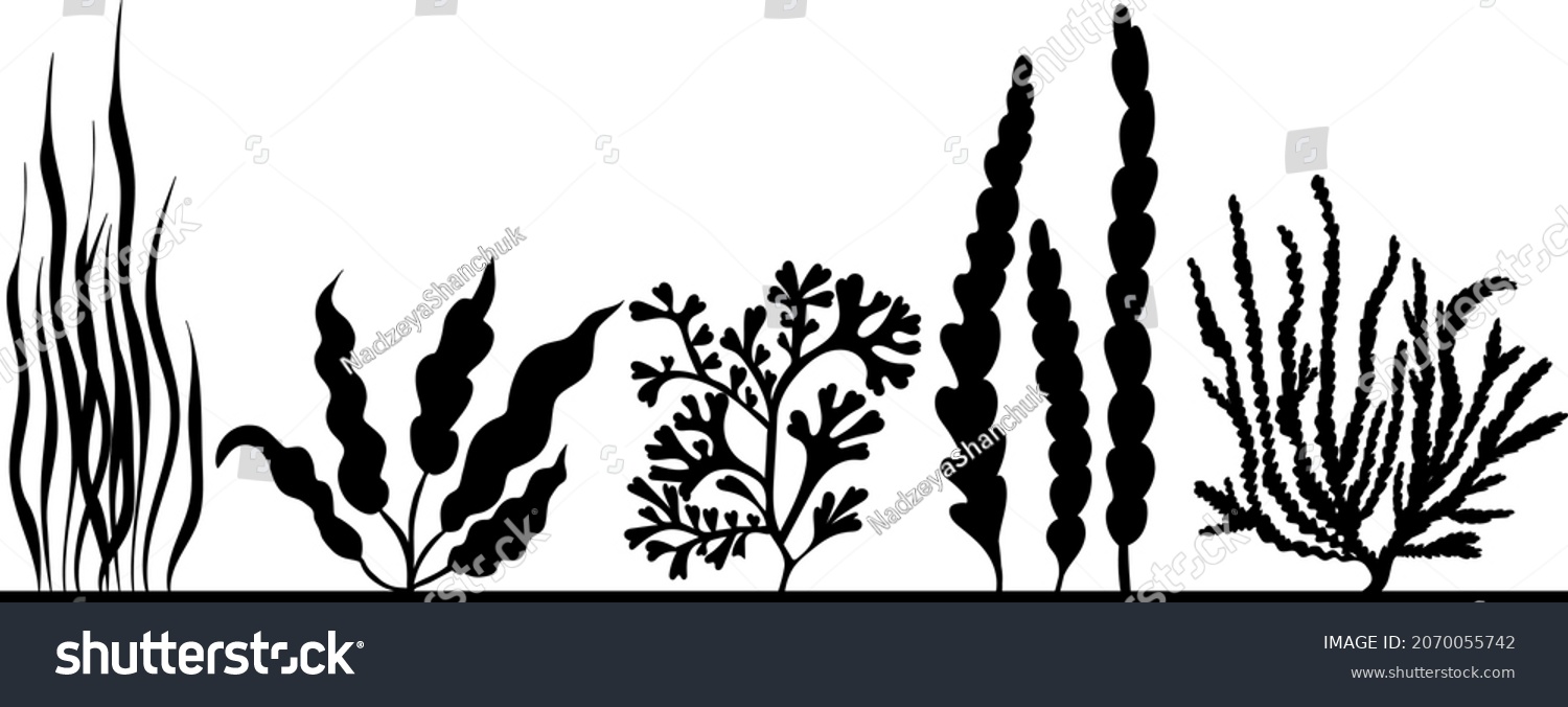 Seaweed Black Silhouette Isolated Vector Stock Vector (Royalty Free ...