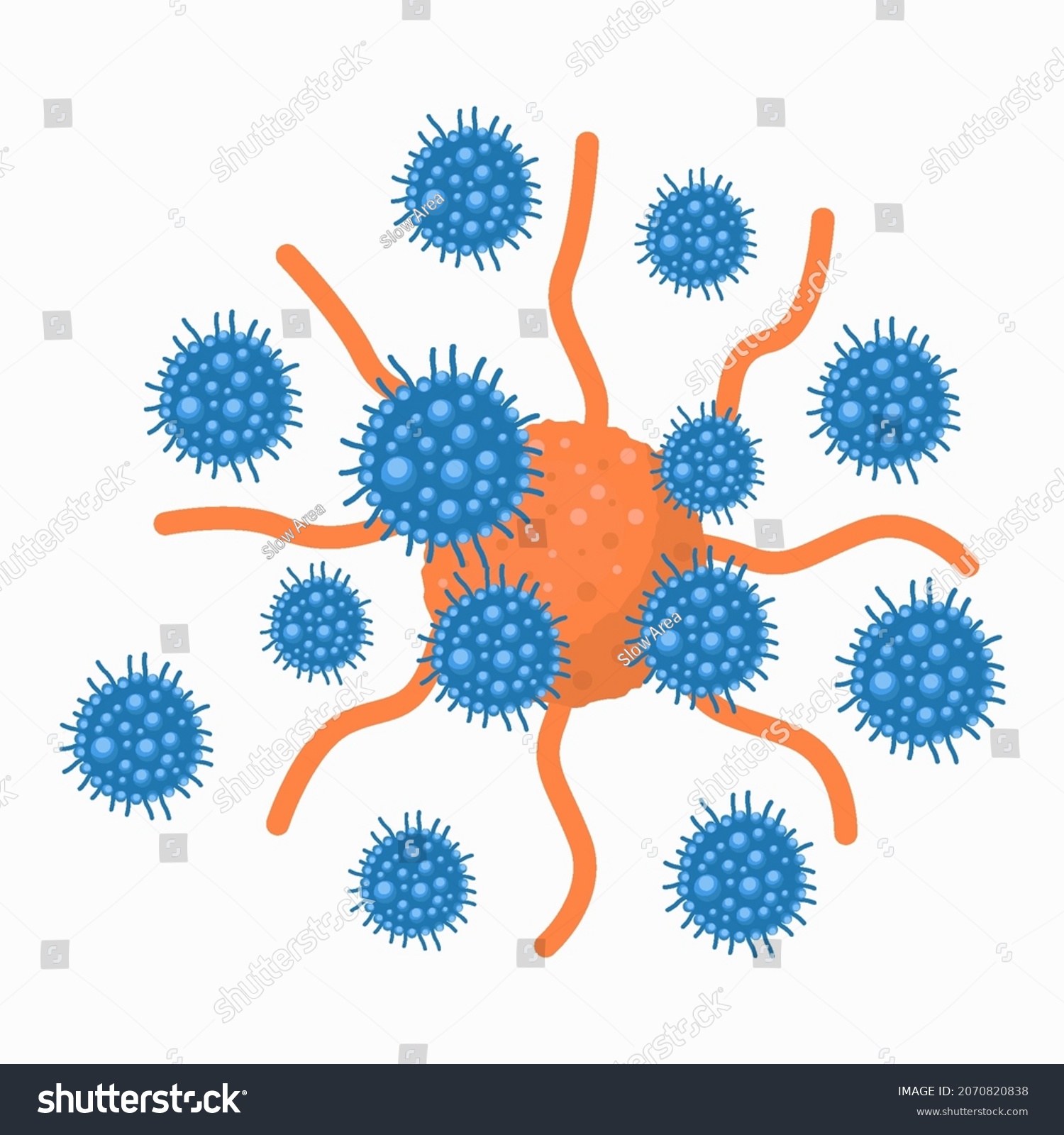 illustrator cell download t cell
