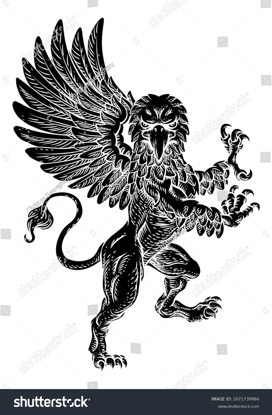 Griffin Known Gryphon Griffon Lion Body Stock Illustration 2071739984 ...